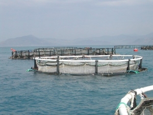 aquapod netpen