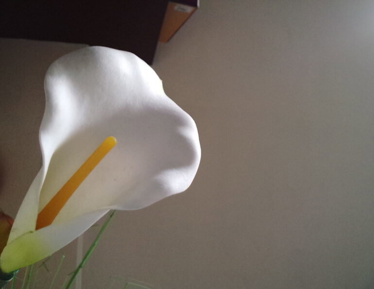 IMG 20140107 002117