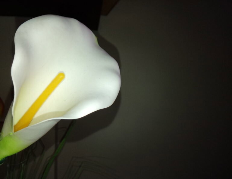IMG 20140107 002121