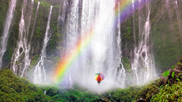 image003