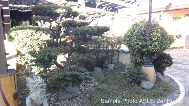 ZenPad S 8.0 Rear Camera Sample 2