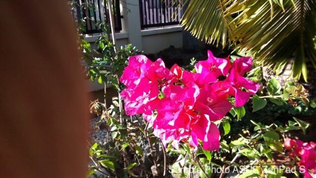 ZenPad S 8.0 Rear Camera Sample 3
