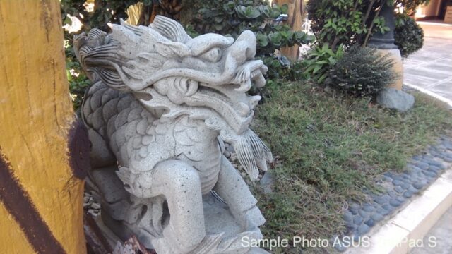 ZenPad S 8.0 Rear Camera Sample 4