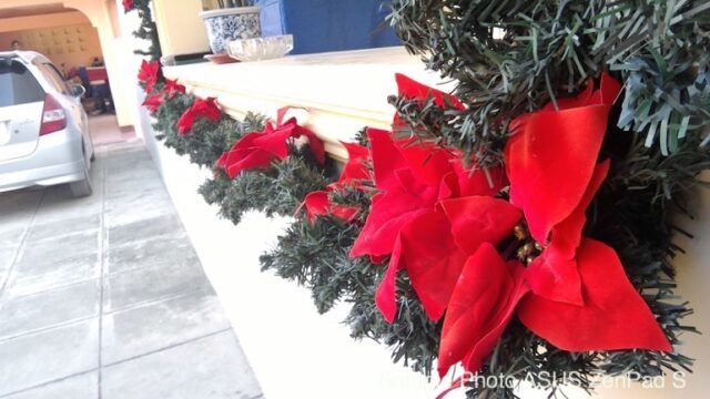 ZenPad S 8.0 Rear Camera Sample 5