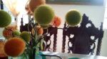 IMG 20160114 144129 scaled