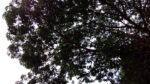 IMG 20160609 124048 scaled