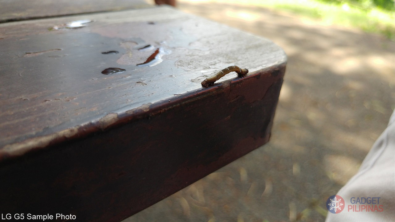 LG G5 Sample Photo 11