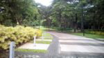cm zoom sample2