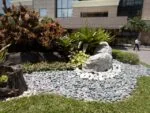 f1s cam sample4