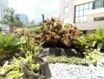 f1s cam sample5