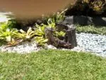 f1s cam sample6