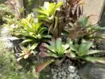 f1s cam sample8