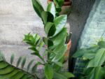 IMG 20161116 170836 Custom