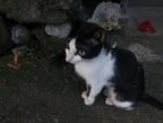 IMG 20161116 171052 Custom