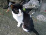 IMG 20161116 171108 Custom