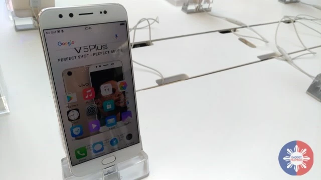 v5p design6 wm