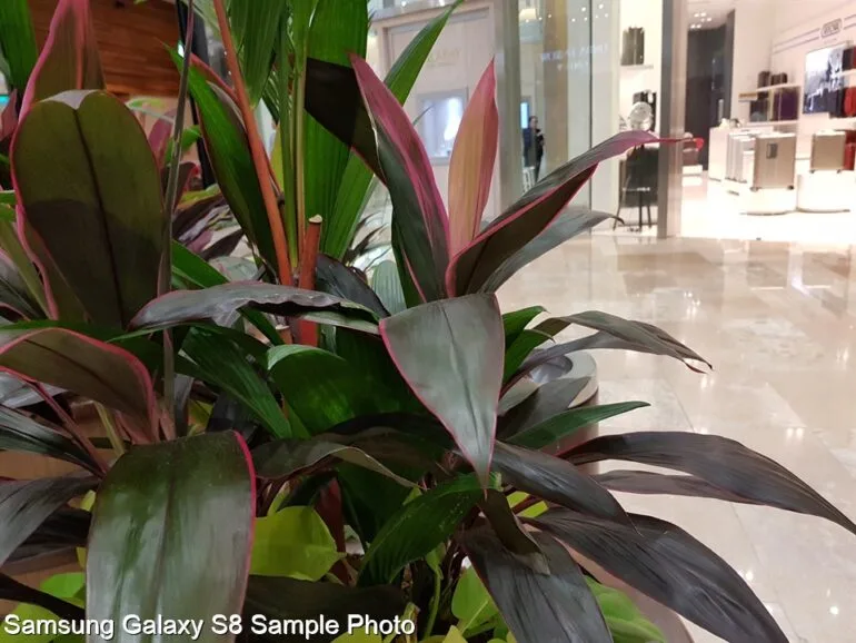 Samsung Galaxy S8 Sample Photo 12