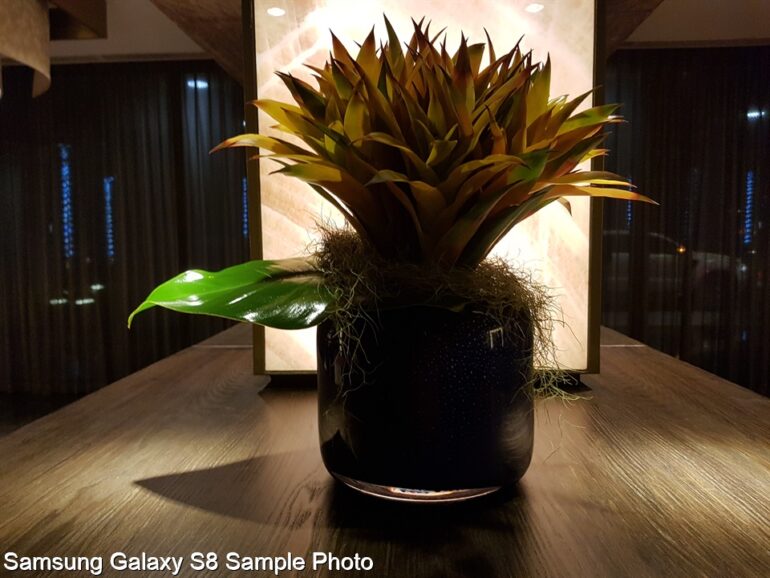 Samsung Galaxy S8 Sample Photo 14