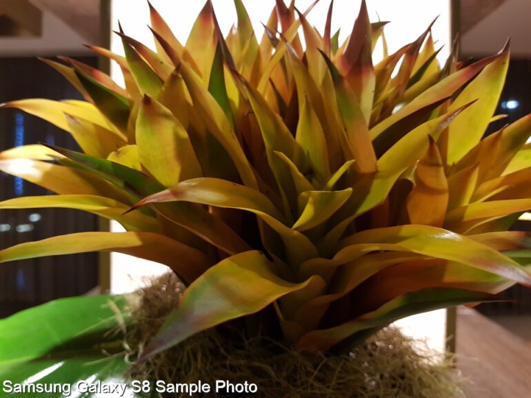 Samsung Galaxy S8 Sample Photo 16