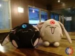 j2p cam1