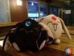 j2p cam3