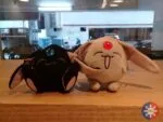 j2p cam4