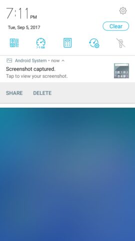 zf4selfie sys33