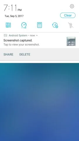 zf4selfie sys33