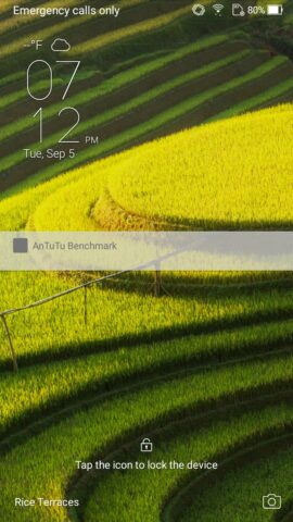 zf4selfie sys38
