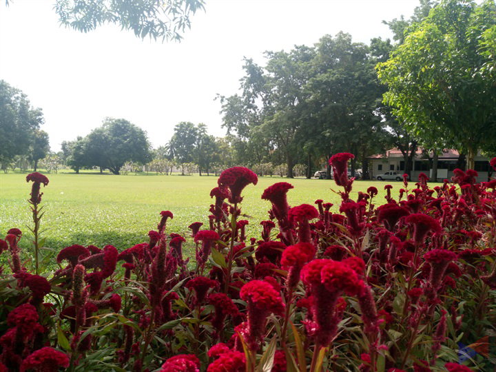 Cherry Mobile Flare S6 Review Sample Photo 8