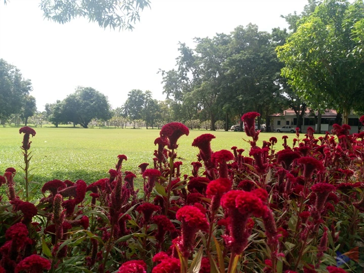 Cherry Mobile Flare S6 Review Sample Photo 8
