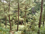 IMG20171103101840