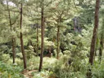 IMG20171103101840