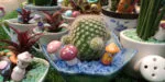 IMG20170101214820 scaled