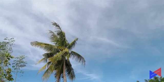 Huawei Mate 10 Pro Sample Photo 5