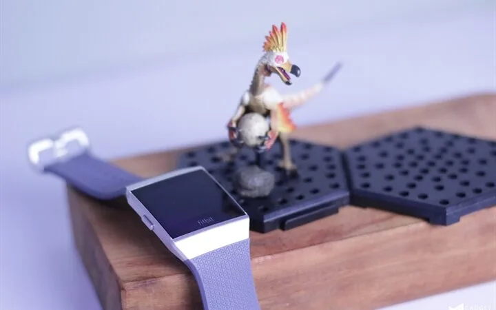Fitbit Ionic Review 4