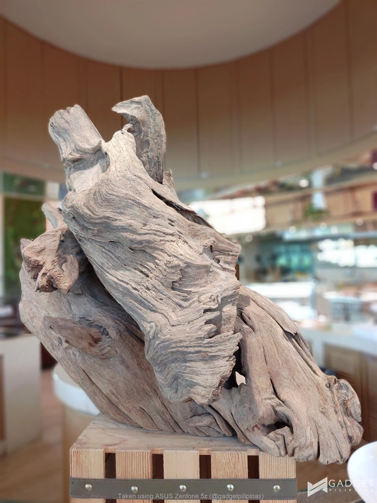 ASUS Zenfone 5z Sample Photo25