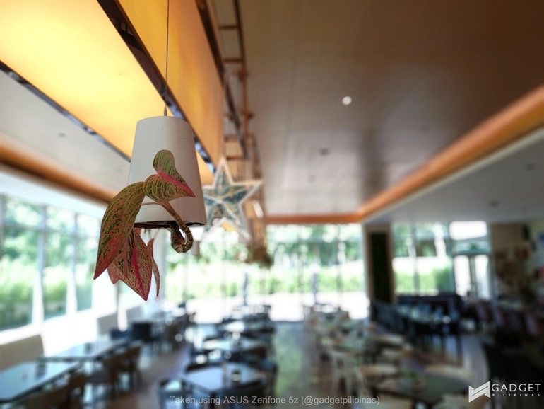 ASUS Zenfone 5z Sample Photo26