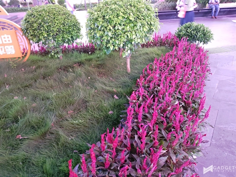 ASUS Zenfone 5z Sample Photo29