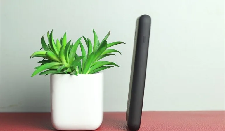 Caseus Powerbank and Desktop wireless charger 32