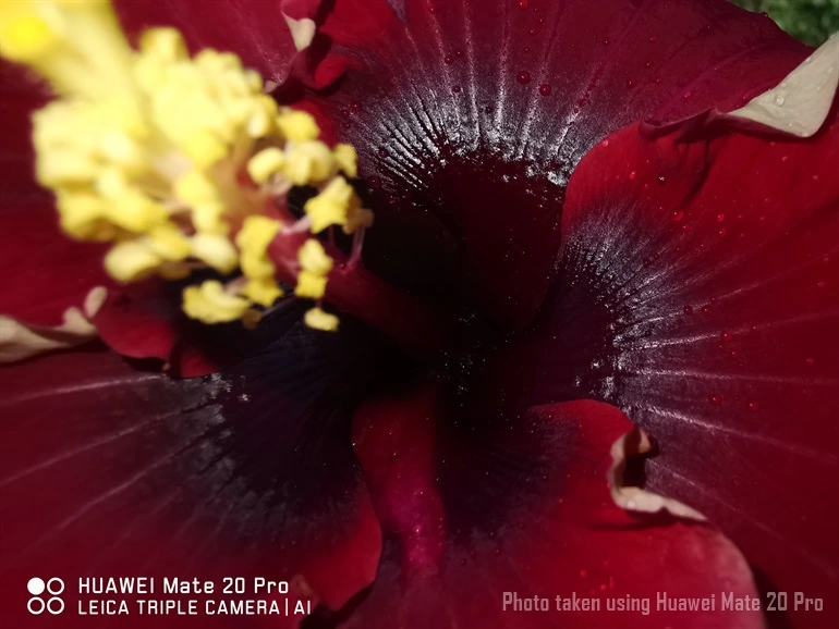 Huawei Mate 20 Pro 34