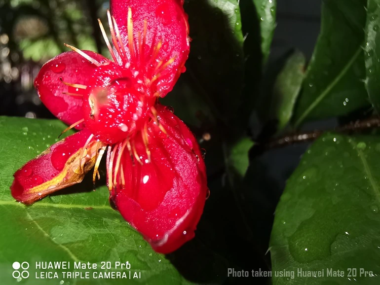 Huawei Mate 20 Pro 35