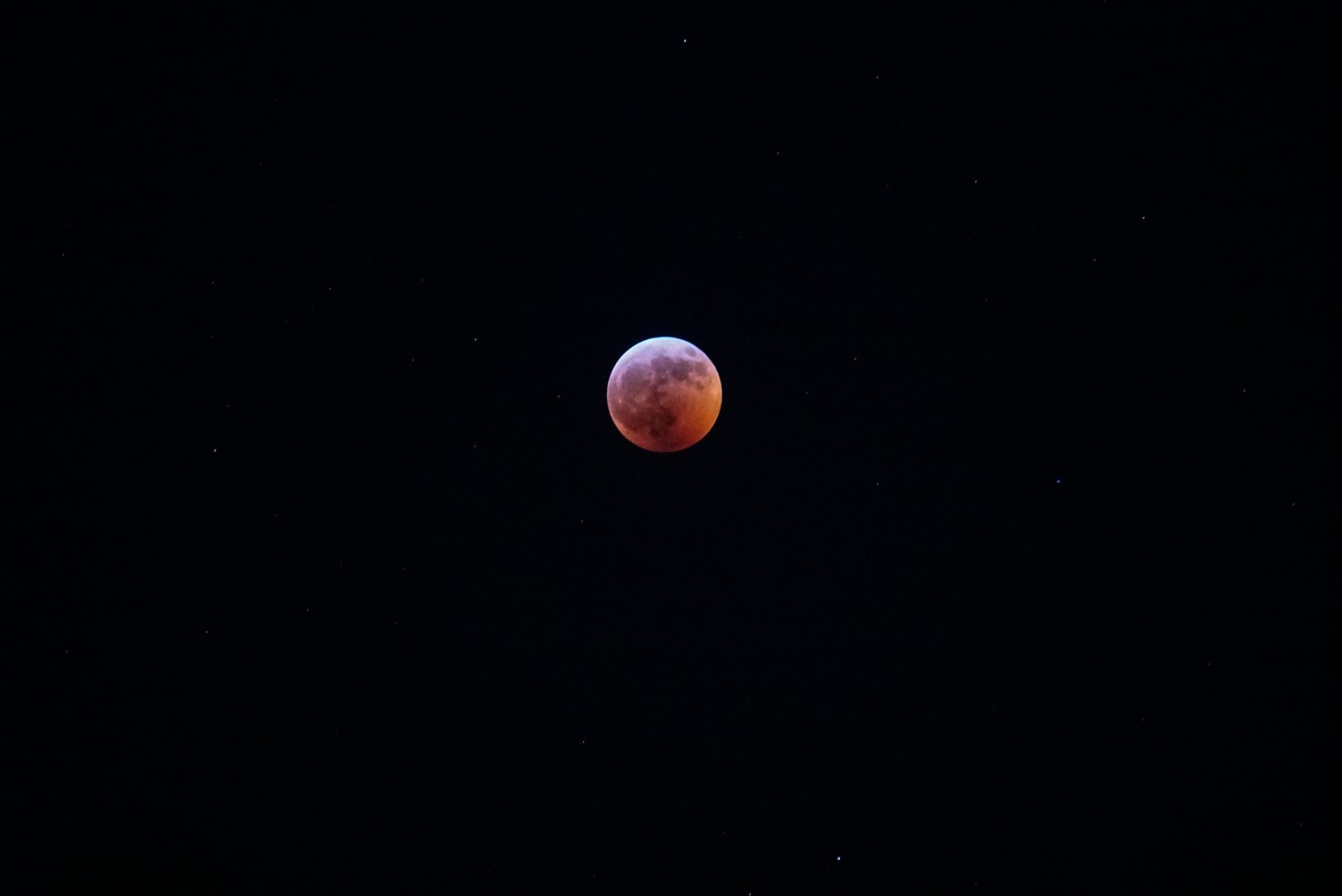 michelle reid 1317167 unsplash