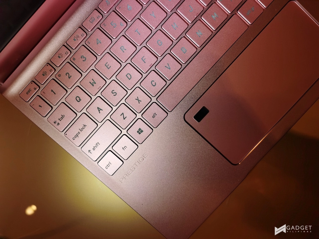 Rose Pink Prestige 146