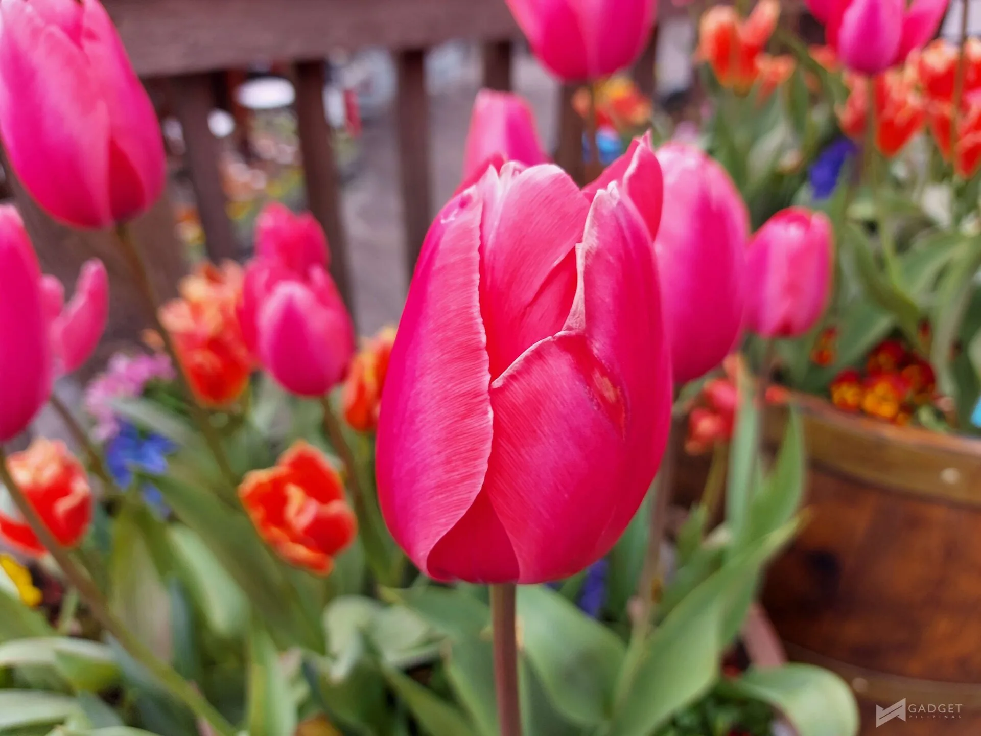 Galaxy A71 Sample Photo10