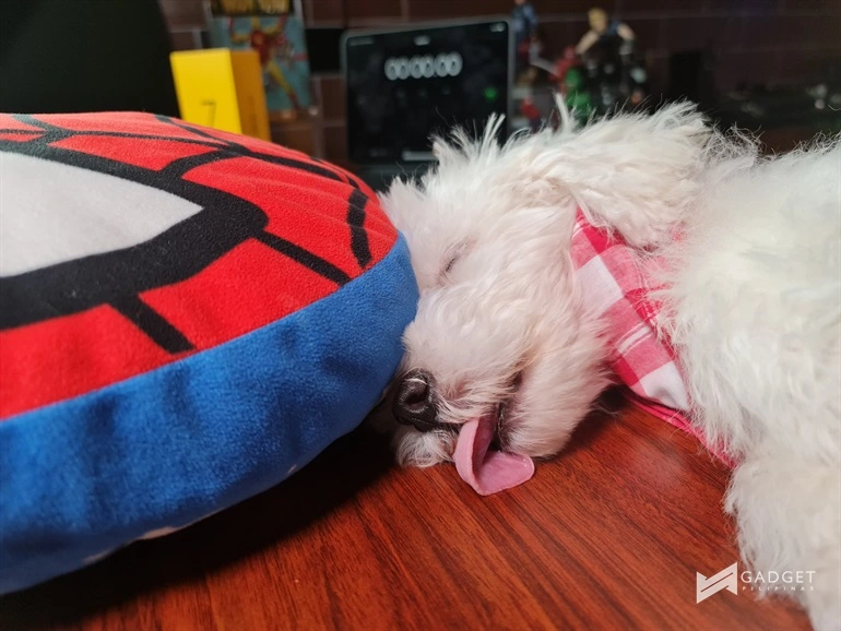 Note20 Ultra Sample Photos 12