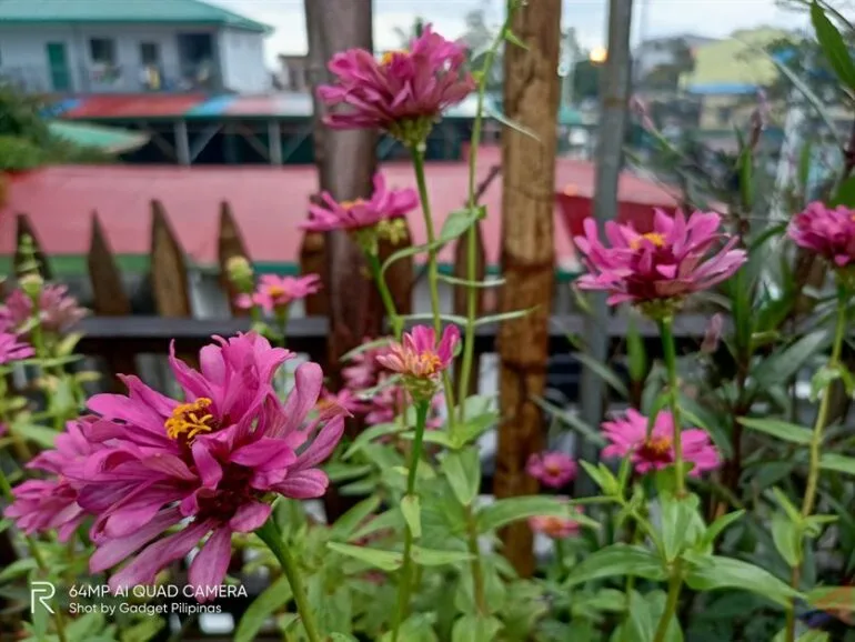 realme 7 camera comparison 8