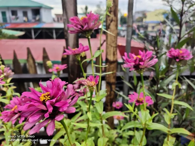 v19 Neo camera comparison 7