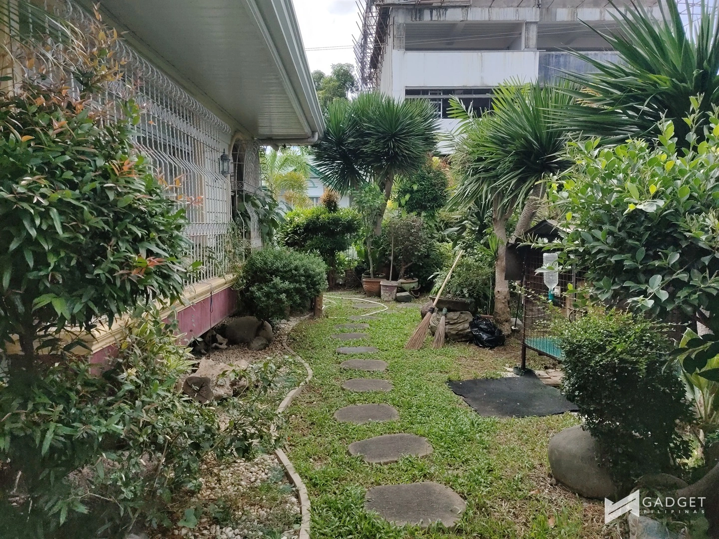 sample photos 1
