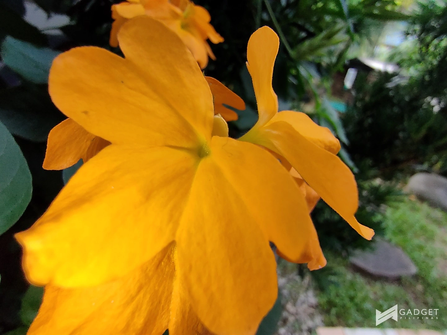 sample photos 10